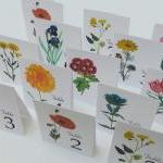 Assorted Wedding Table Cards, Floral Table Cards,..