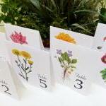 Assorted Wedding Table Cards, Floral Table Cards,..