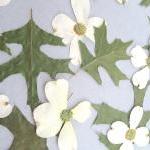 Woodland Leaves With White Accents, Green Leaves..