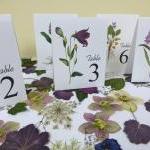 Purple Flower Table Cards, Botanical Floral Table..