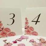 Cherry Blossom Table Card Numbers, Wedding Table..