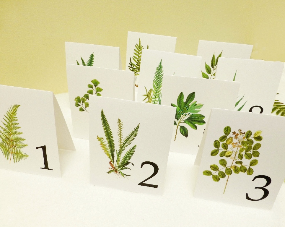 Woodland Wedding Table Cards, Table Tents Of Vintage Botanicals, Leaf Table Numbers