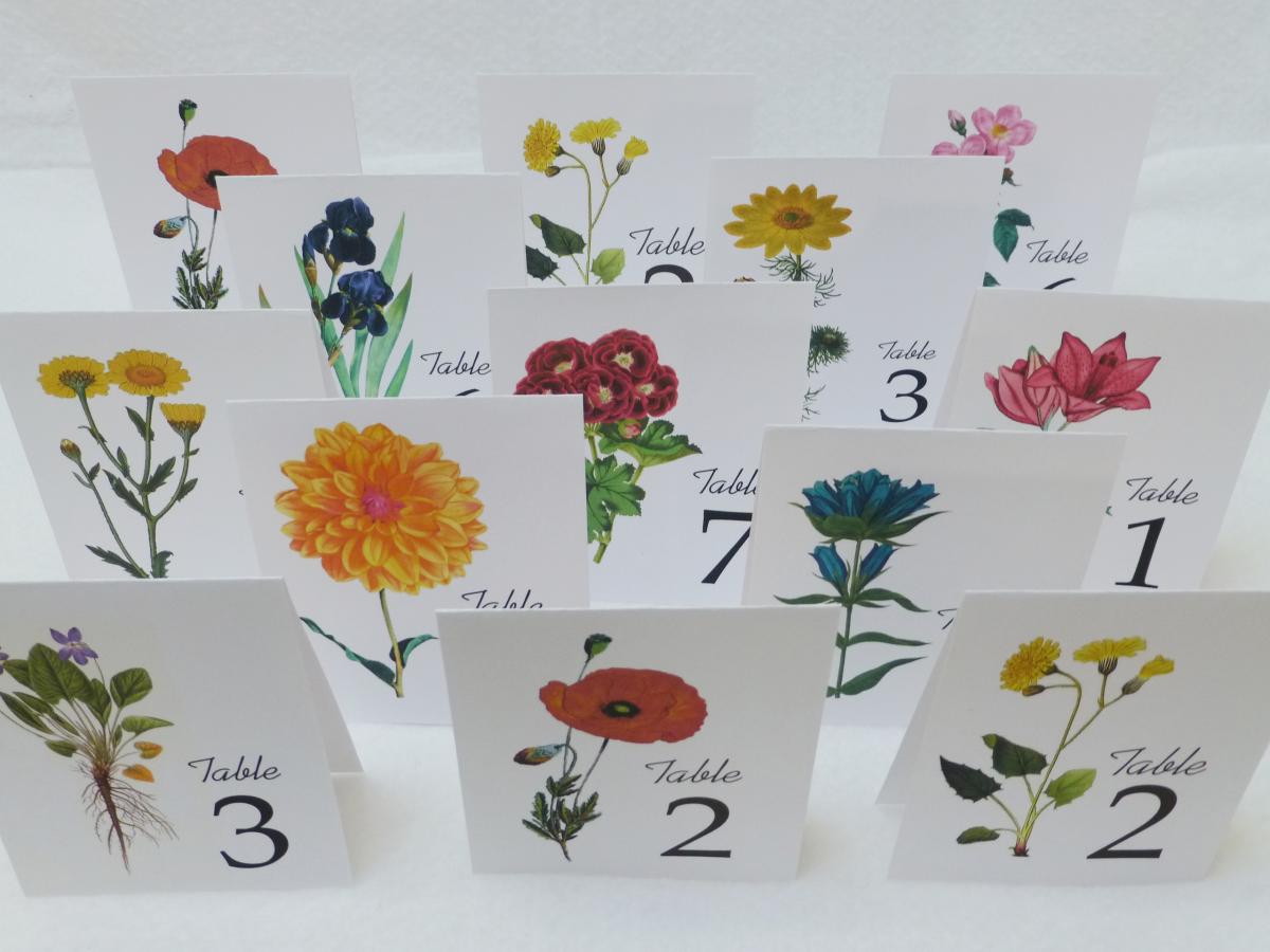 Assorted Wedding Table Cards, Floral Table Cards, Wedding Table Numbers, Wedding Table Tents,