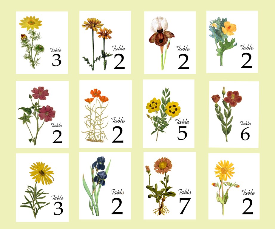 Autumn Floral Table Cards, Vintage Illustrations As Table Numbers