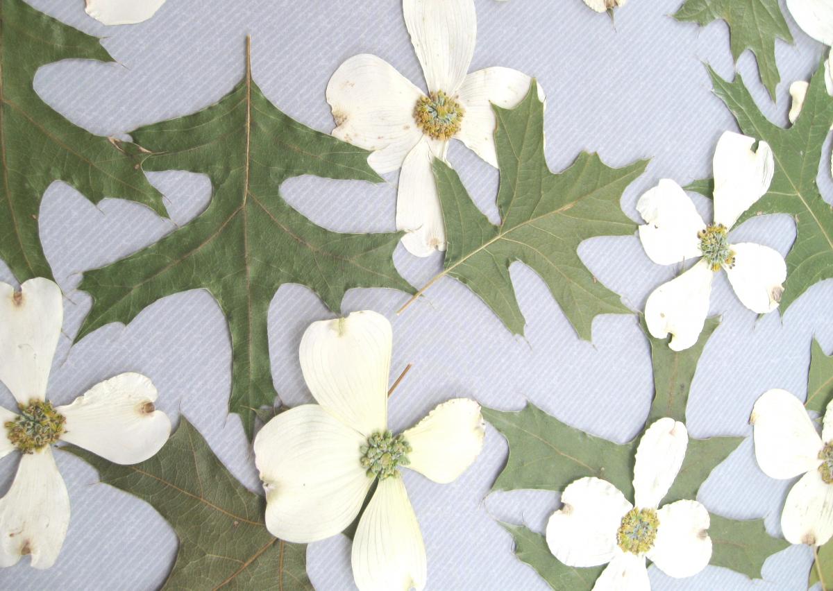 Woodland Leaves With White Accents, Green Leaves With White Flowers, Qty Of 60, Real Leaves For Table Decoration