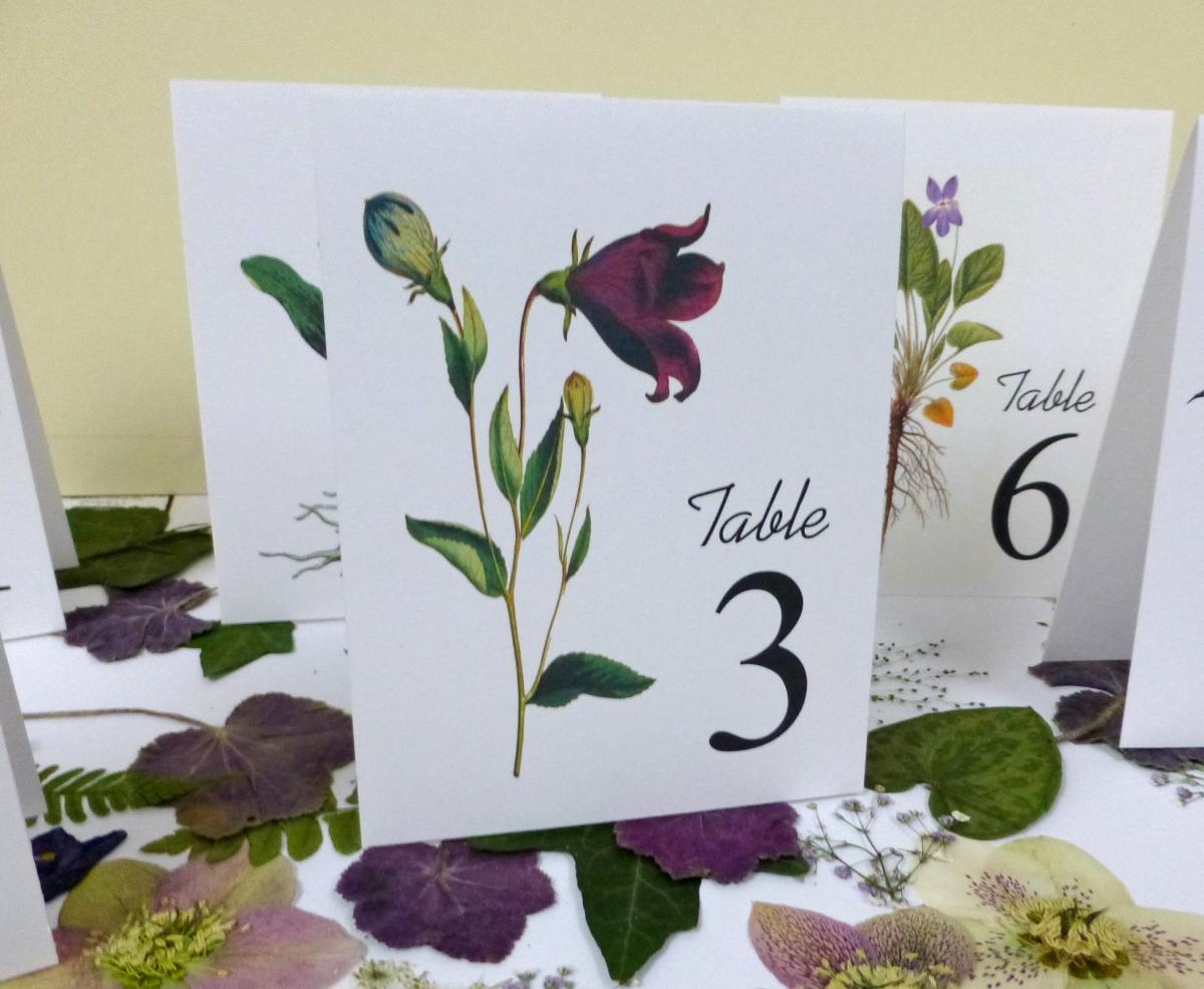 Purple Flower Table Cards, Botanical Floral Table Numbers