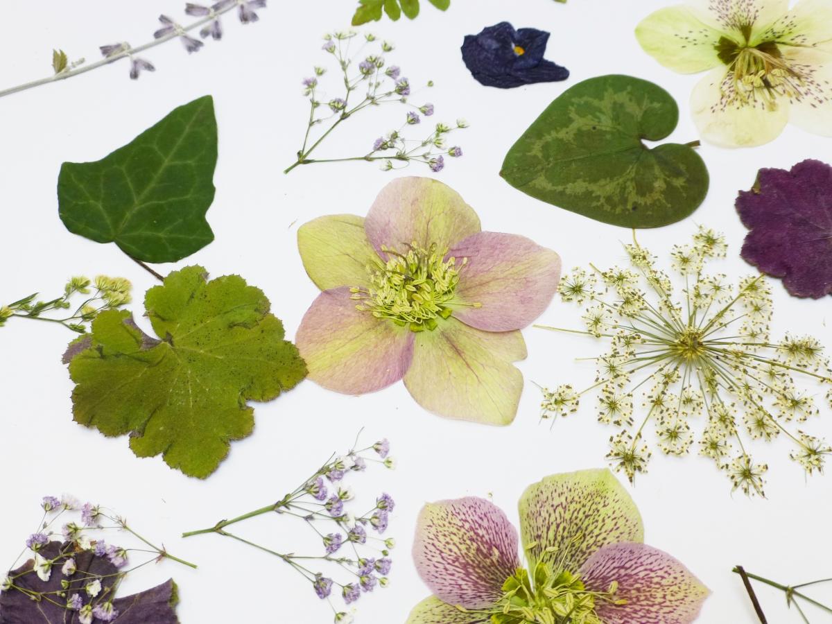 Pressed Flowers And Leaves, Romantic Mix For Special Occasion, Wedding Table Decor, Purple Flowers, White Flowers, Greenery,
